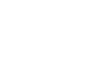 logo ekslibris